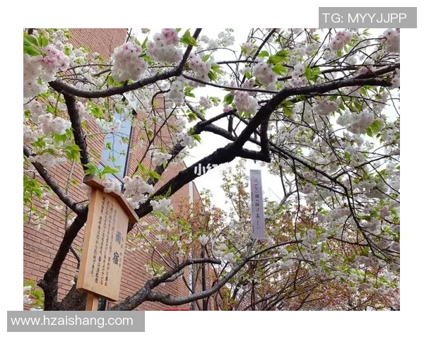 北海道勇战大阪樱花期待精彩对决揭开足球激情新篇章